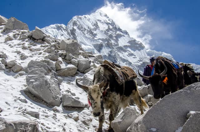 Everest Base Camp Trek